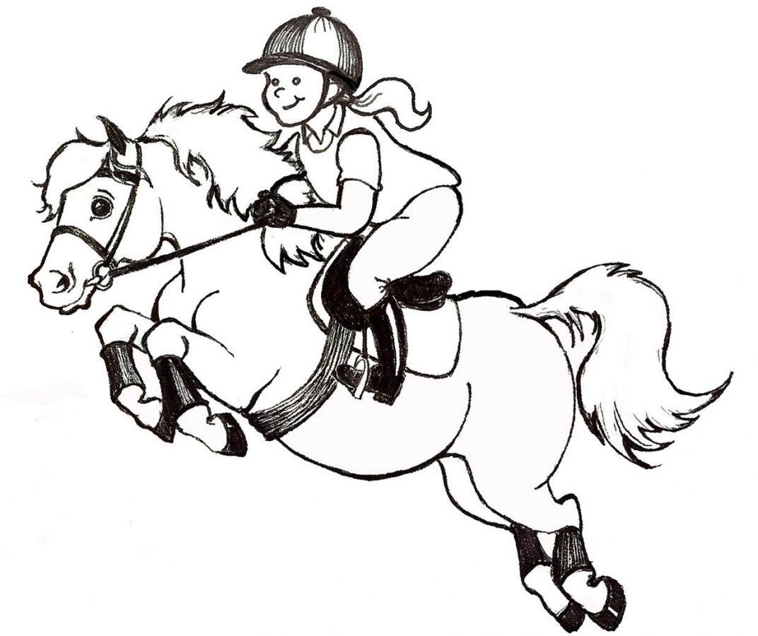 Willow South Riding School