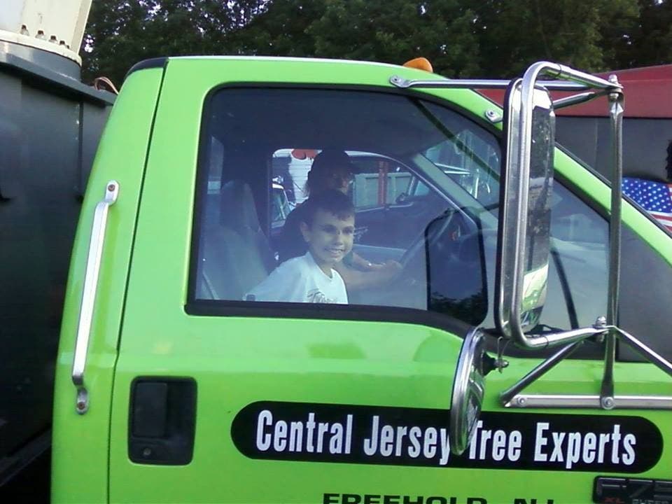 Central Jersey Tree Experts