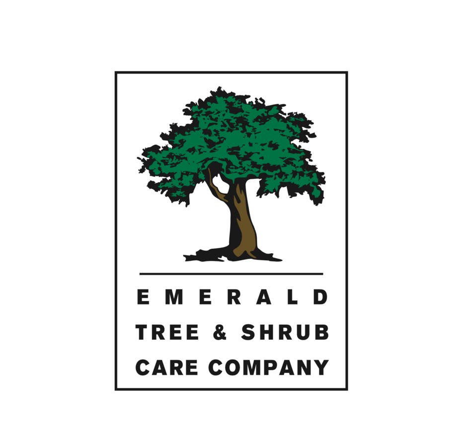Emerald Tree and Shrub Care
