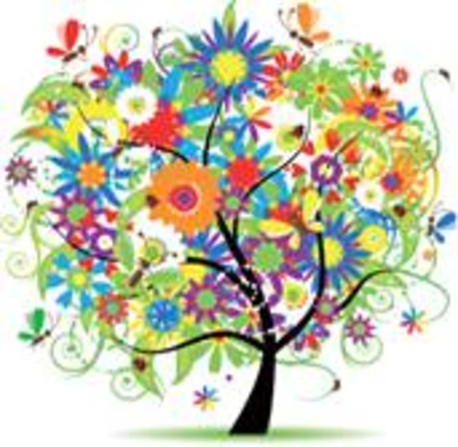 Olivenhain Country Preschool