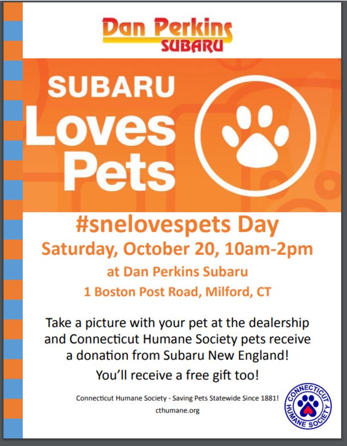 Dan Perkins Subaru
