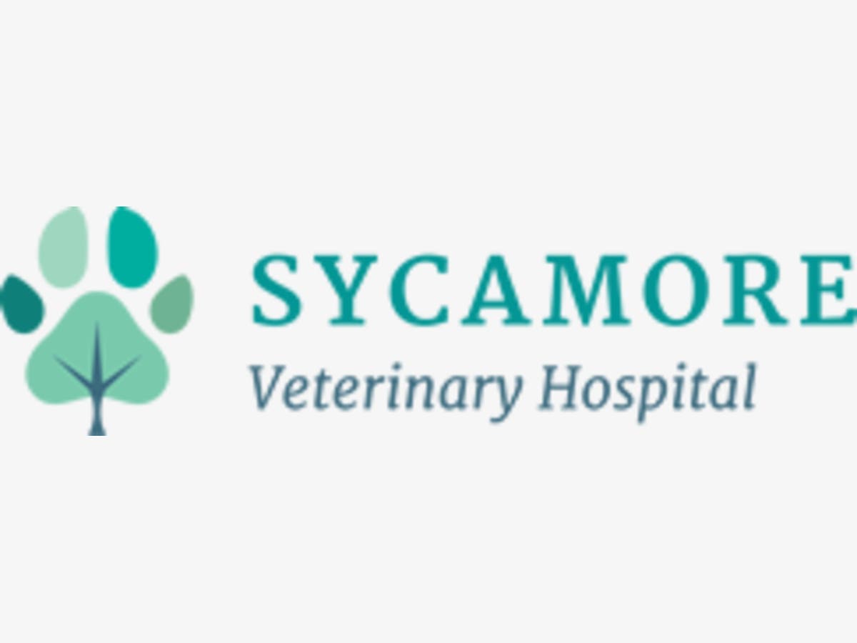 Sycamore Veterinary Hospital