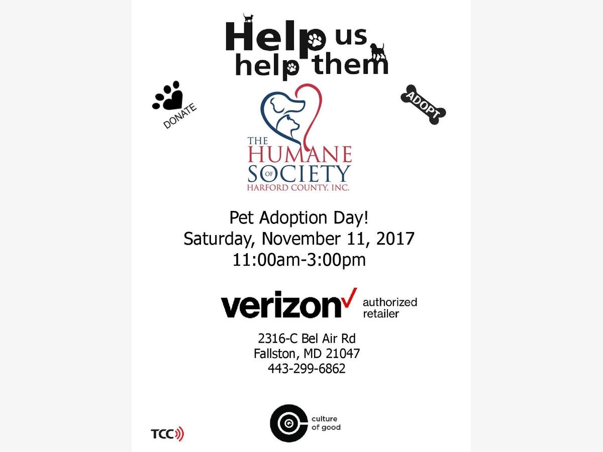 Verizon Wireless Fallston