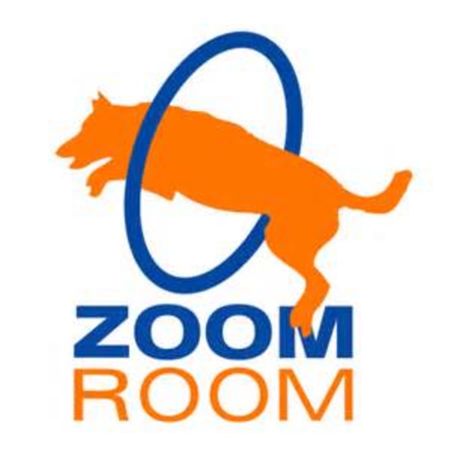 Zoom Room Redondo Beach