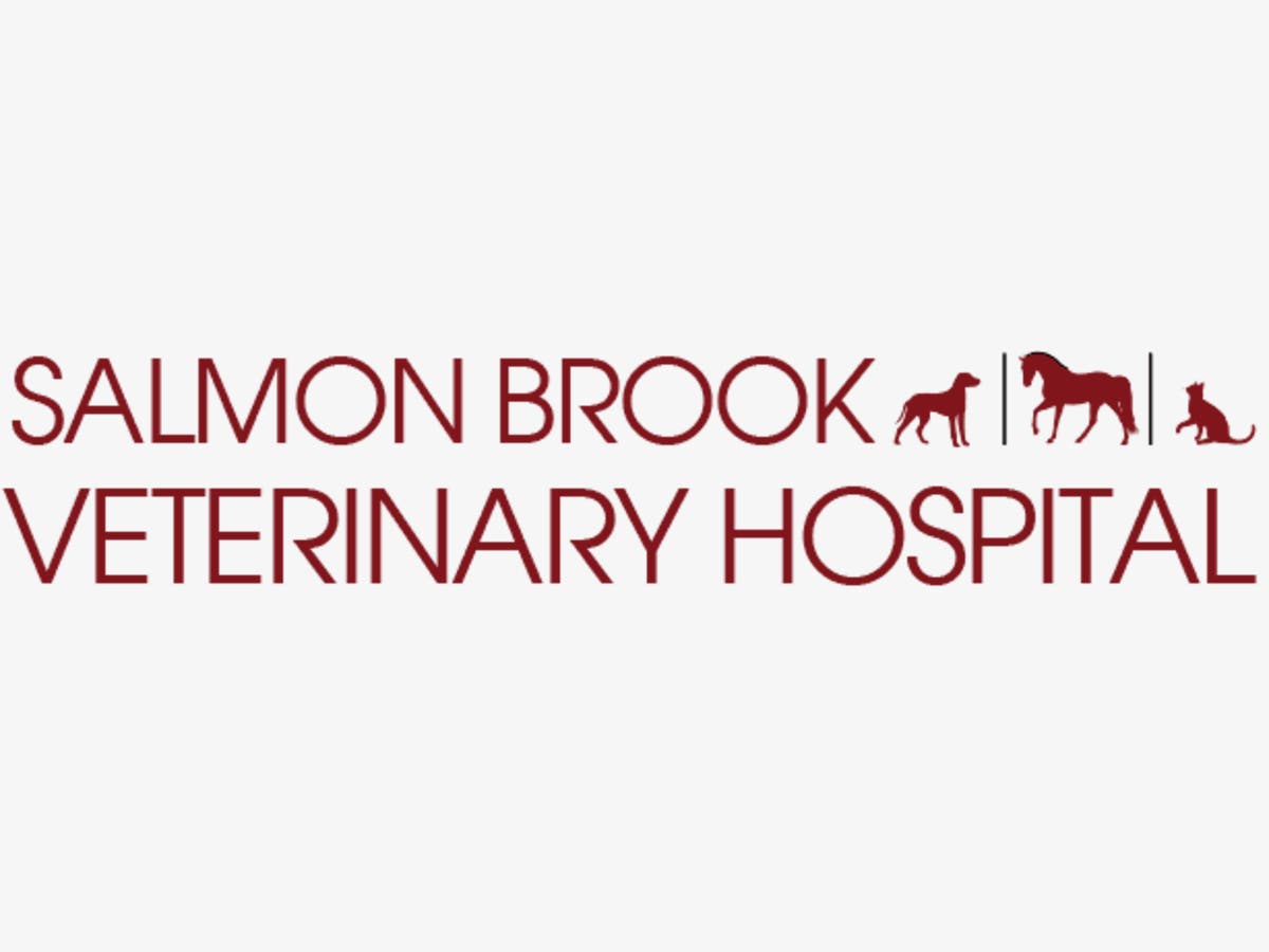 Salmon Brook Veterinary Hospital