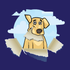 Enjoy Your Dog, Inc.