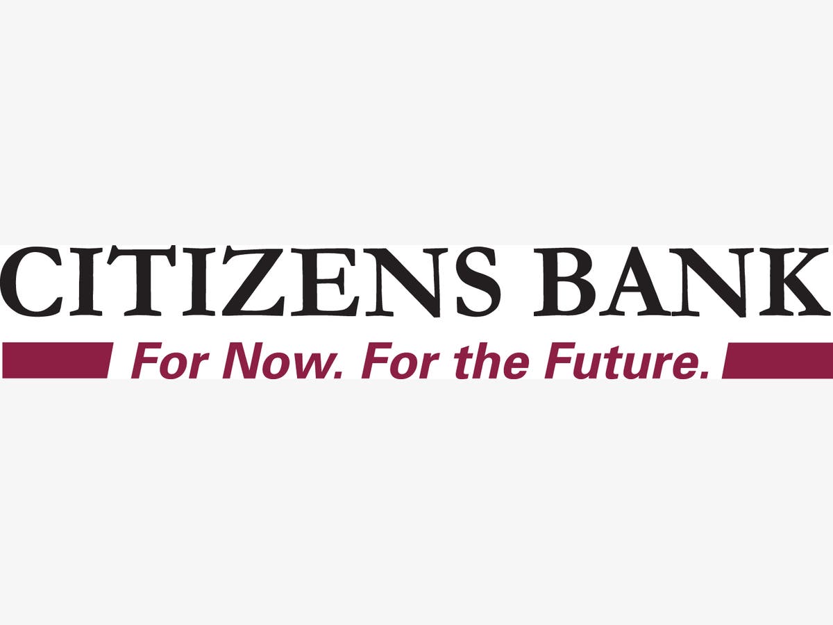 citizen titanium bullhead