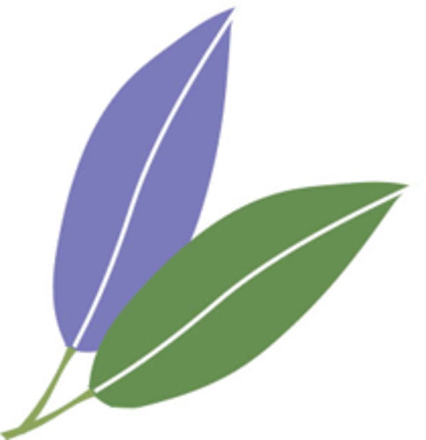 Sage Advice Geriatric Care Management