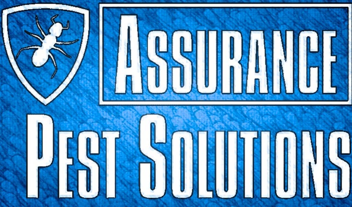Assurance Pest Solutions