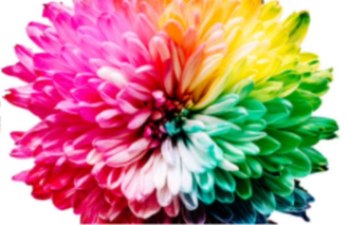 Camp Daydream Summer Camp