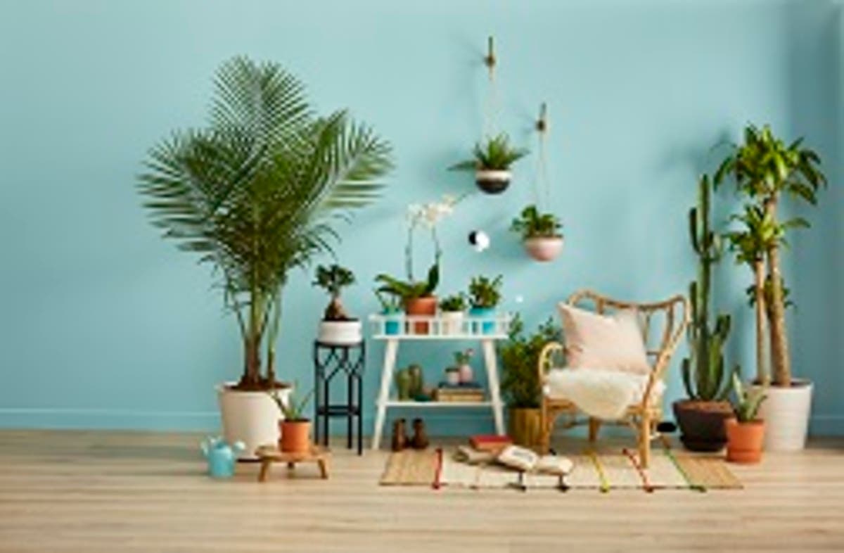 IKEA Conshohocken Make Room for Nature Mega Event!