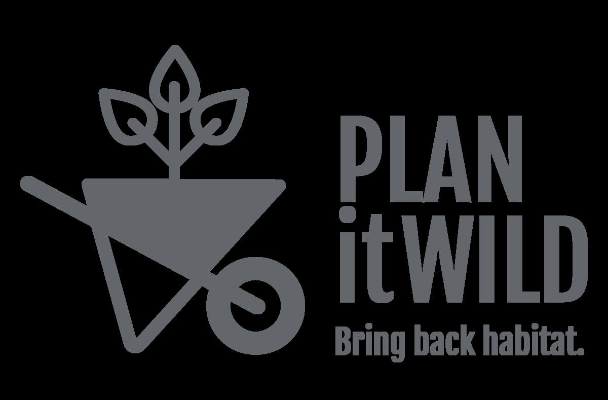 PLAN it WILD