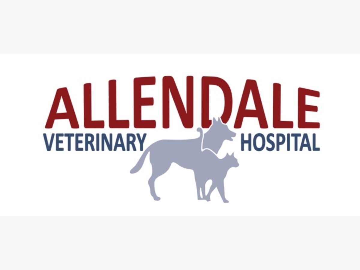 Allendale Veterinary Hospital