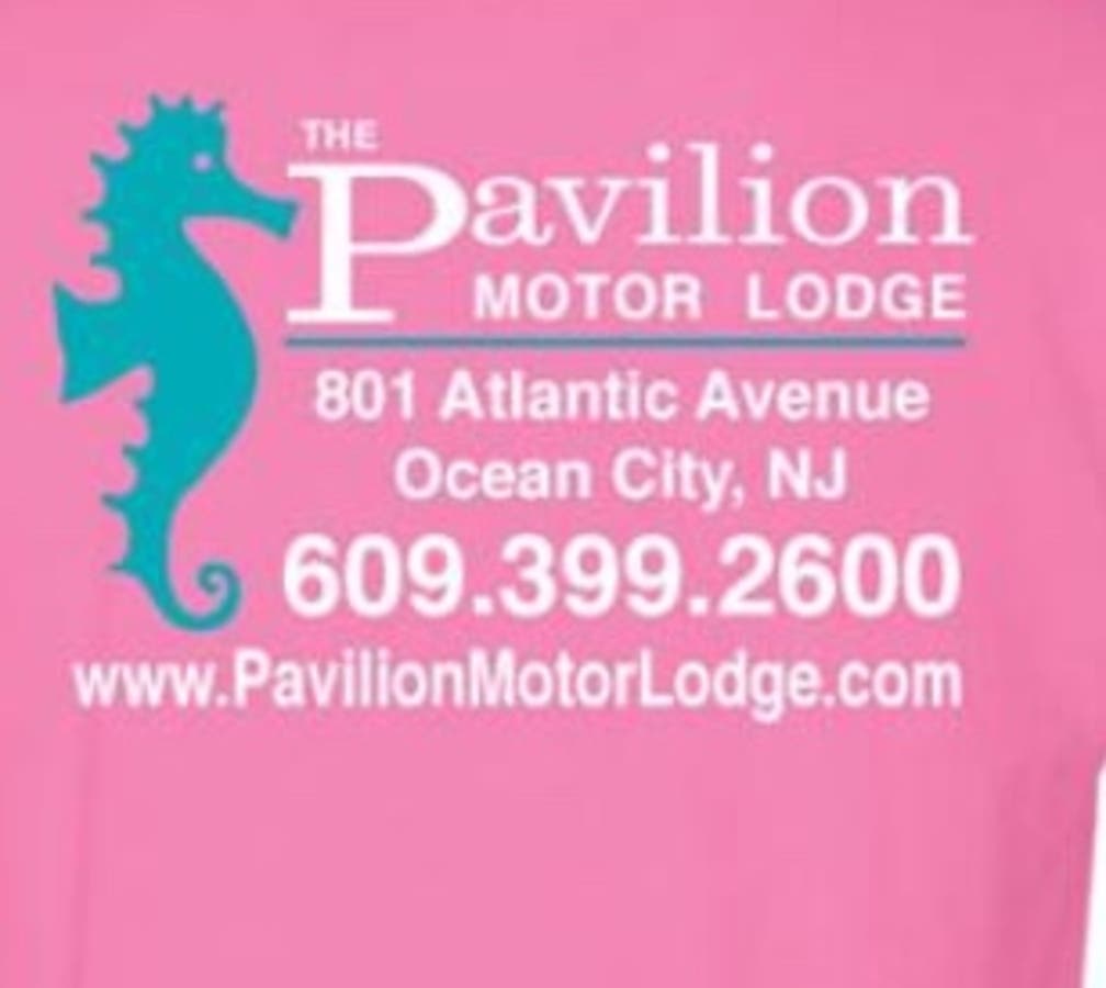 The Pavilion View