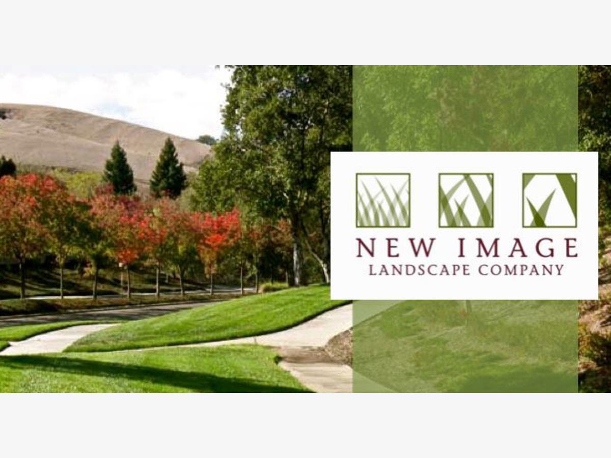 New Image Landscape Company