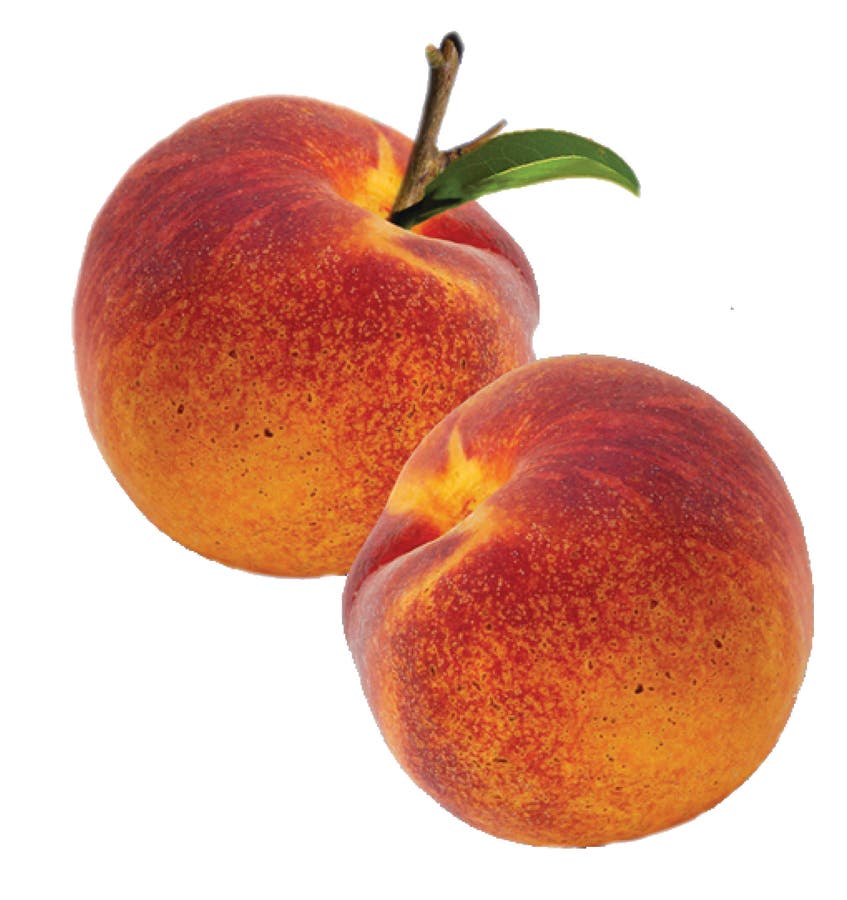 ACityDiscount - Your Source For Foodservice Equipment