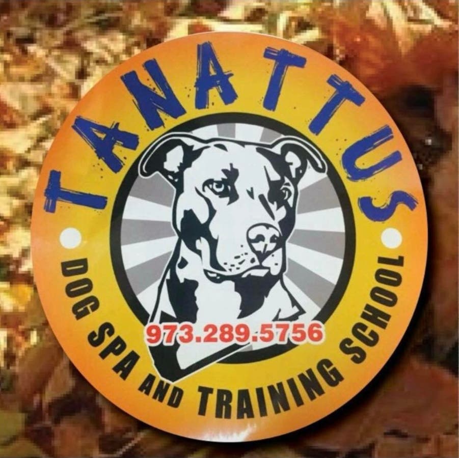 Tanattus Professional Dog Training