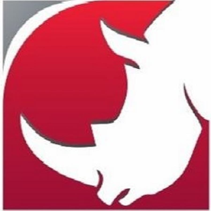 Rhino Theatre Group