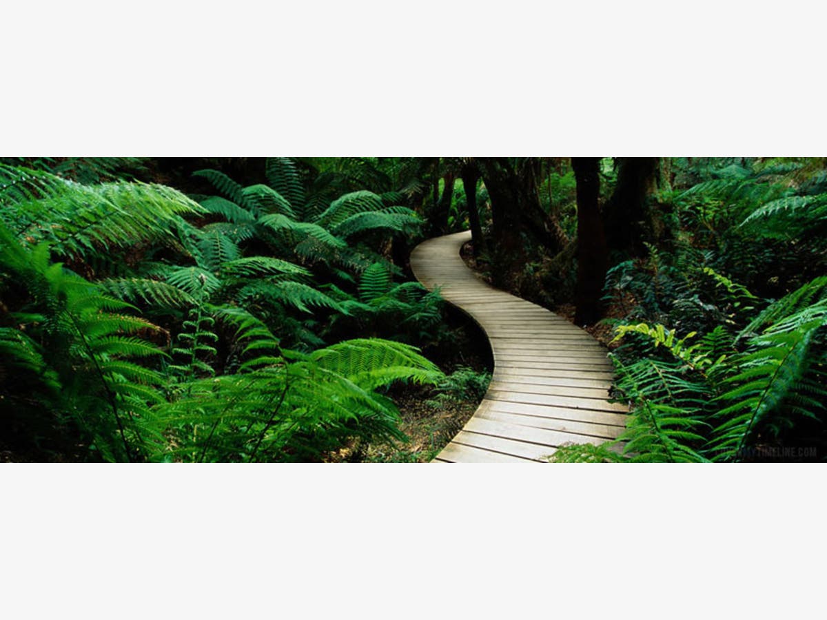 Integrative Pathways to Healing - Mind Body RN