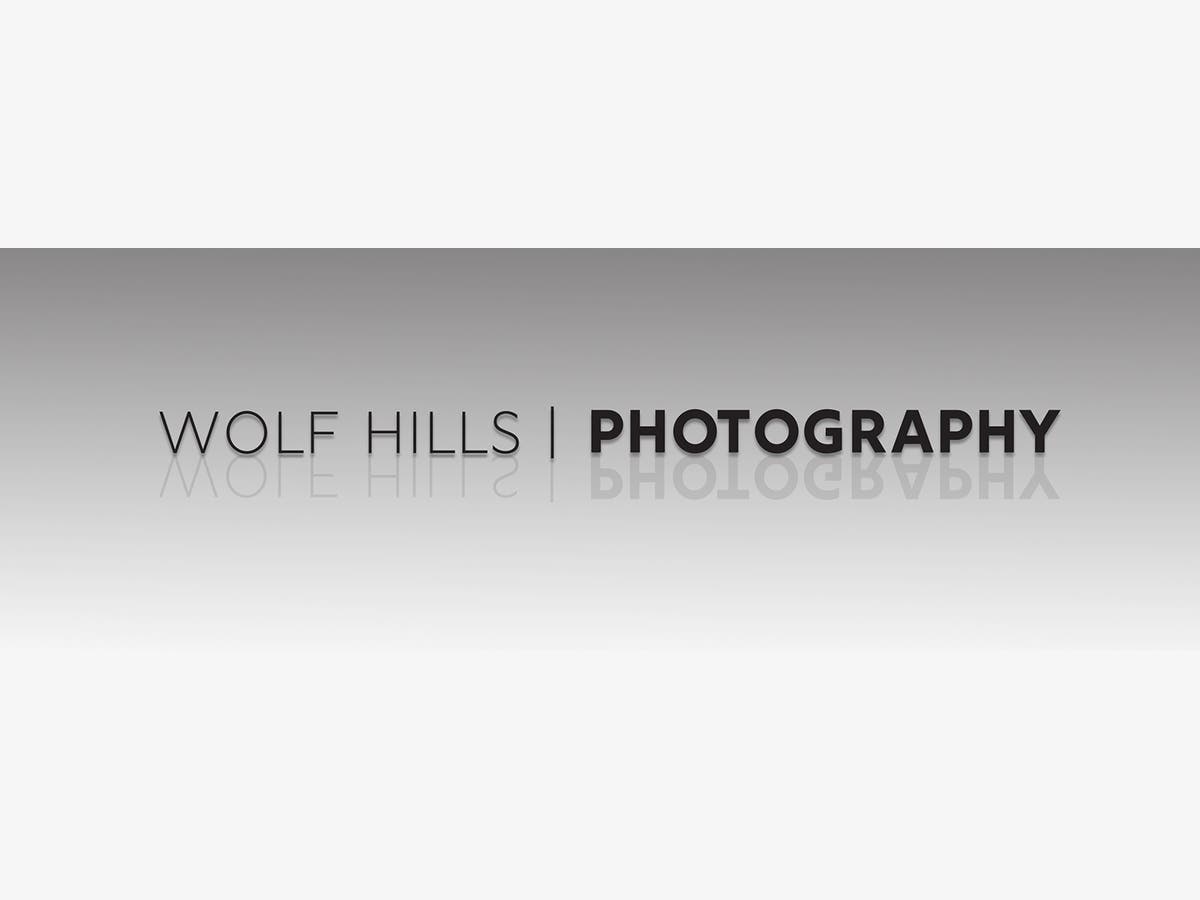 Wolf Hills Photography LLC - Masterfully Presenting Properties in the Best Light
