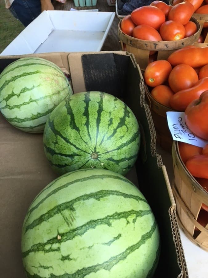 The Berlin Farmers Market