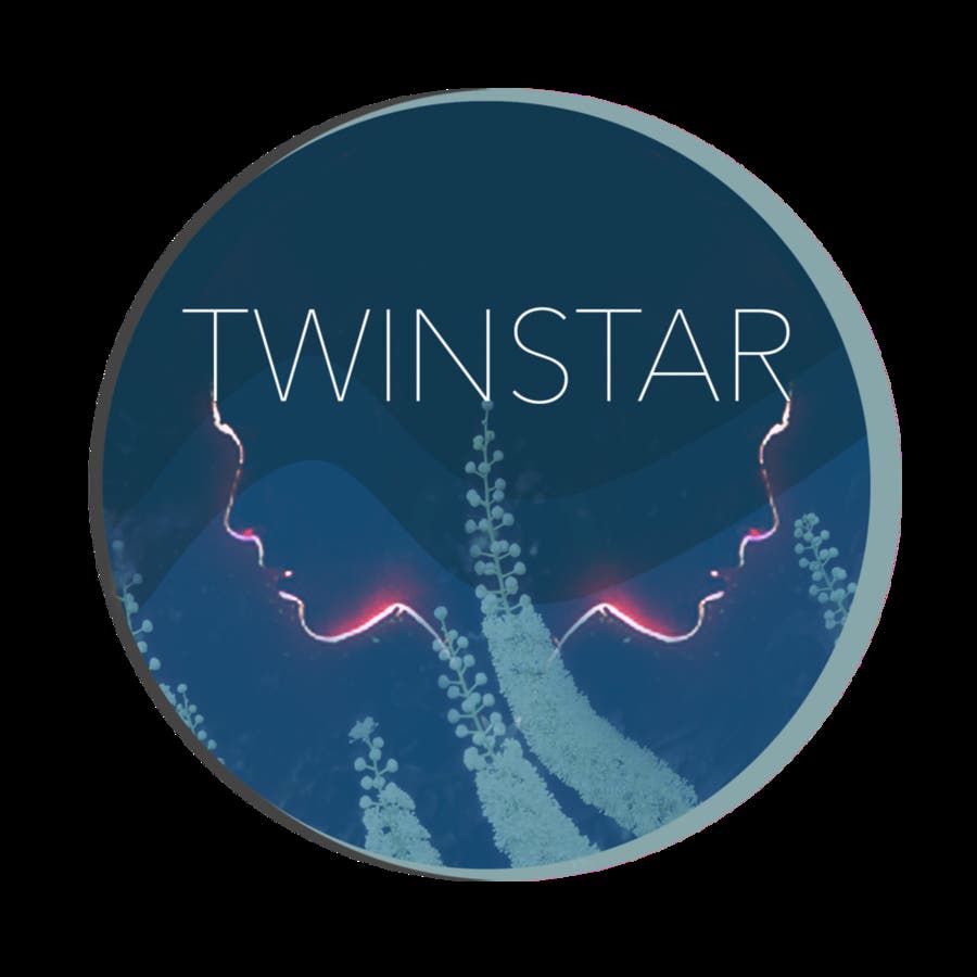 TWIN STAR CONNECTICUT'S SCHOOL OF HERBAL & ENERGETIC STUDIES