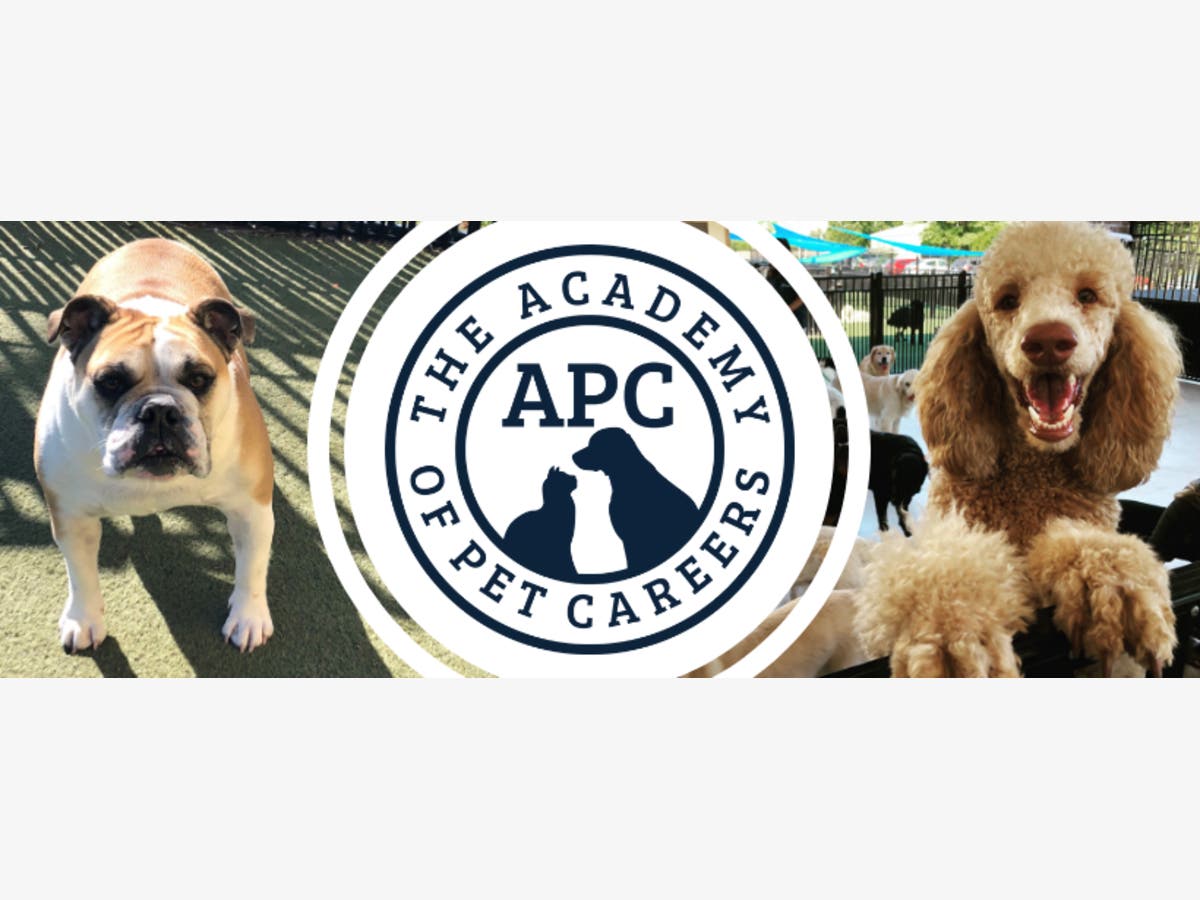The Academy of Pet Careers