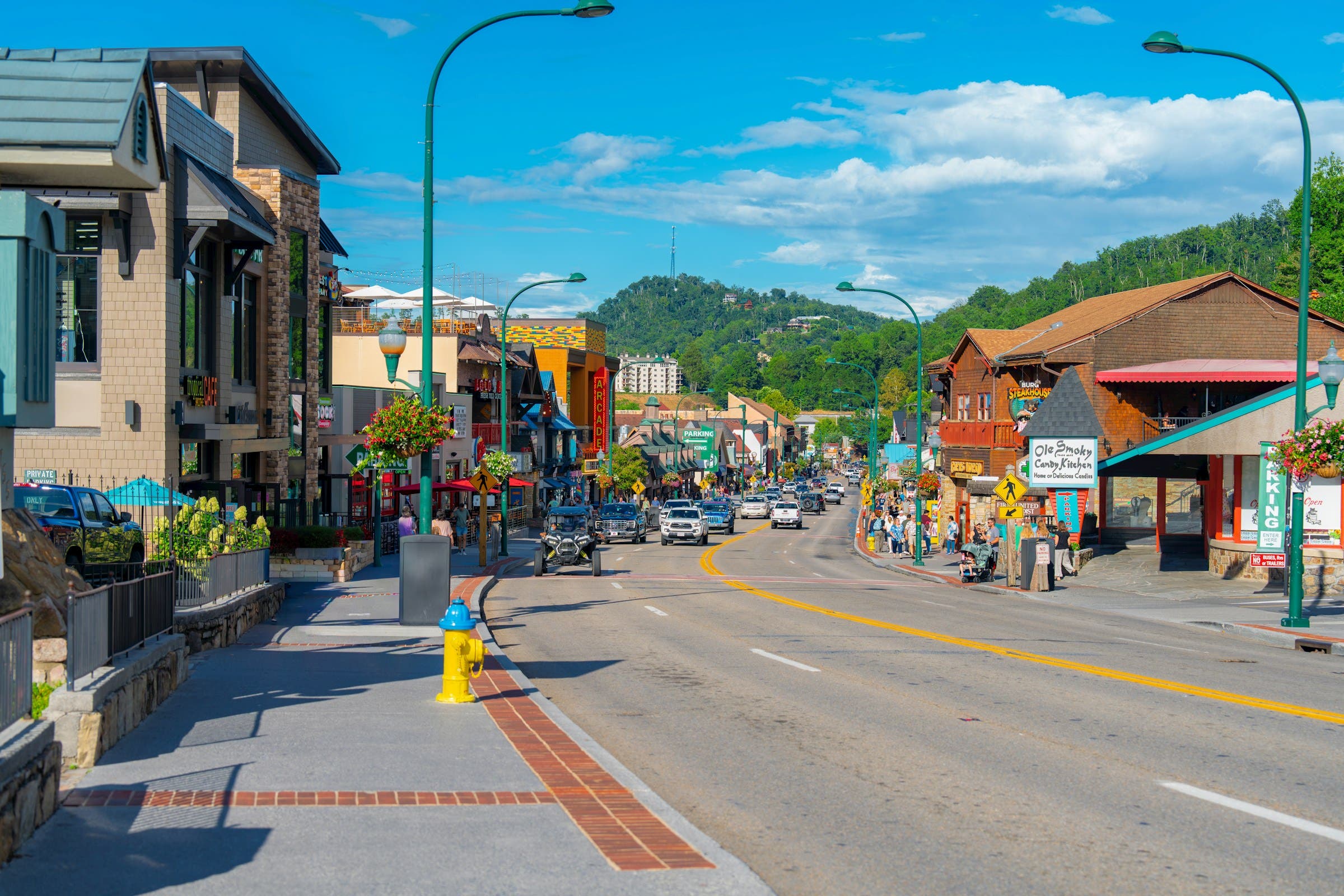Shops along a sunny neighborhood street