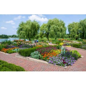 garden.jpg