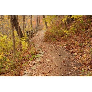 trail.jpg