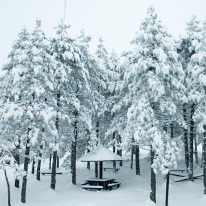 winterwonderland.jpg