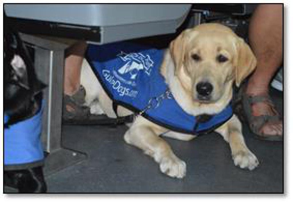 home health aide training st petersburg fl