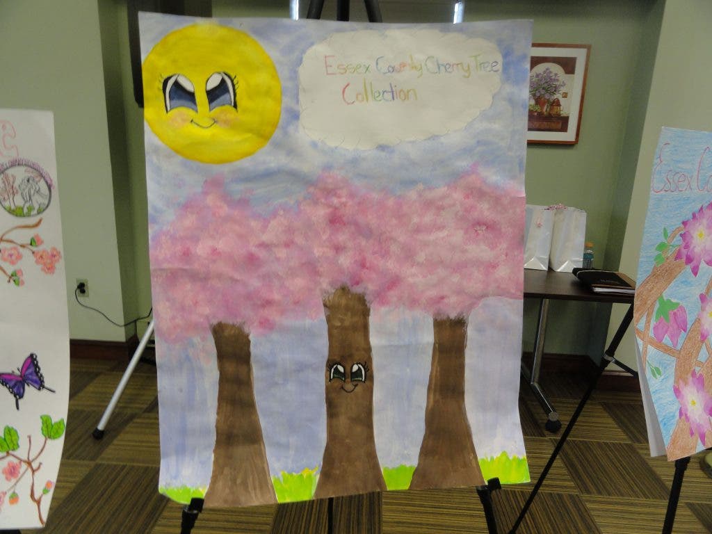 Cherry Blossom Festival Lineup Set Belleville, NJ Patch