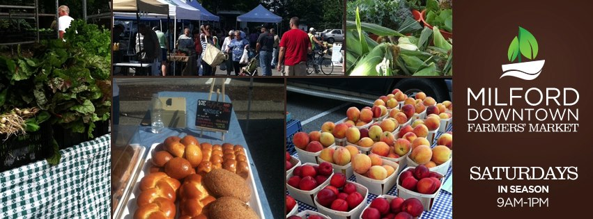 Children's Day at the Milford Downtown Farmers' Market | Milford, CT Patch