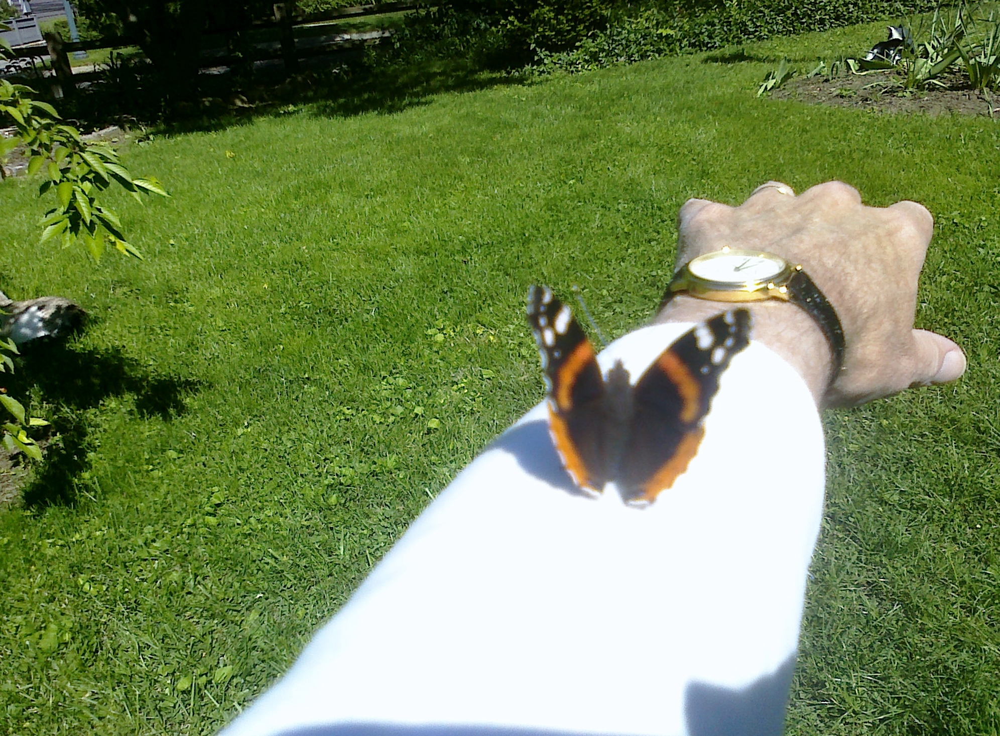 News small post card thumbnail