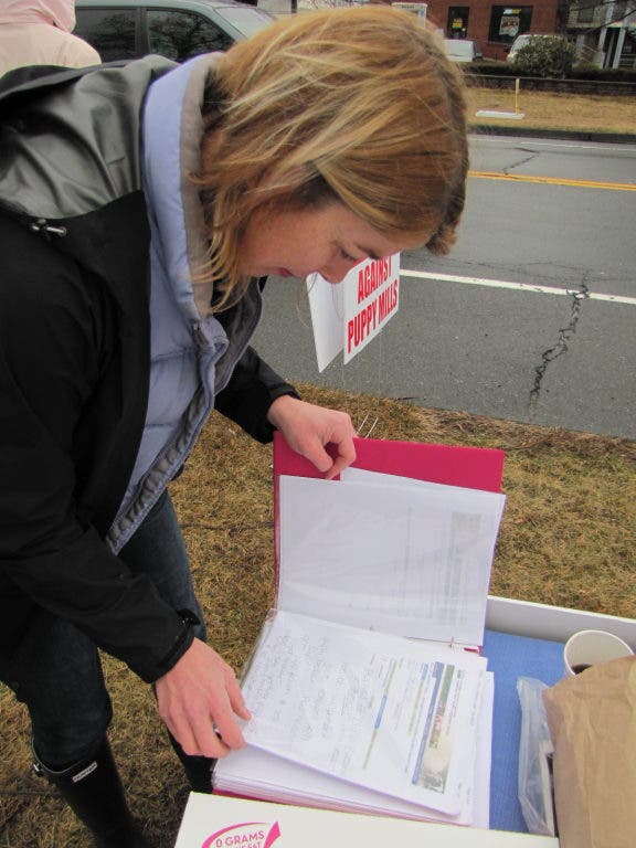 Protesting the Sale of Puppies from KansasBased Breeders Branford