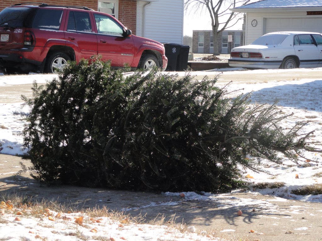 Christmas Tree Pick-Up Starts Jan. 5