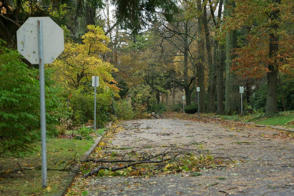 Yard Waste Pickup Schedule Newport RI Patch