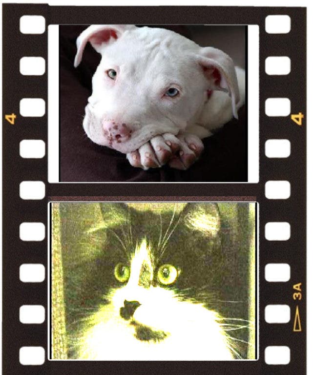 News small post card thumbnail