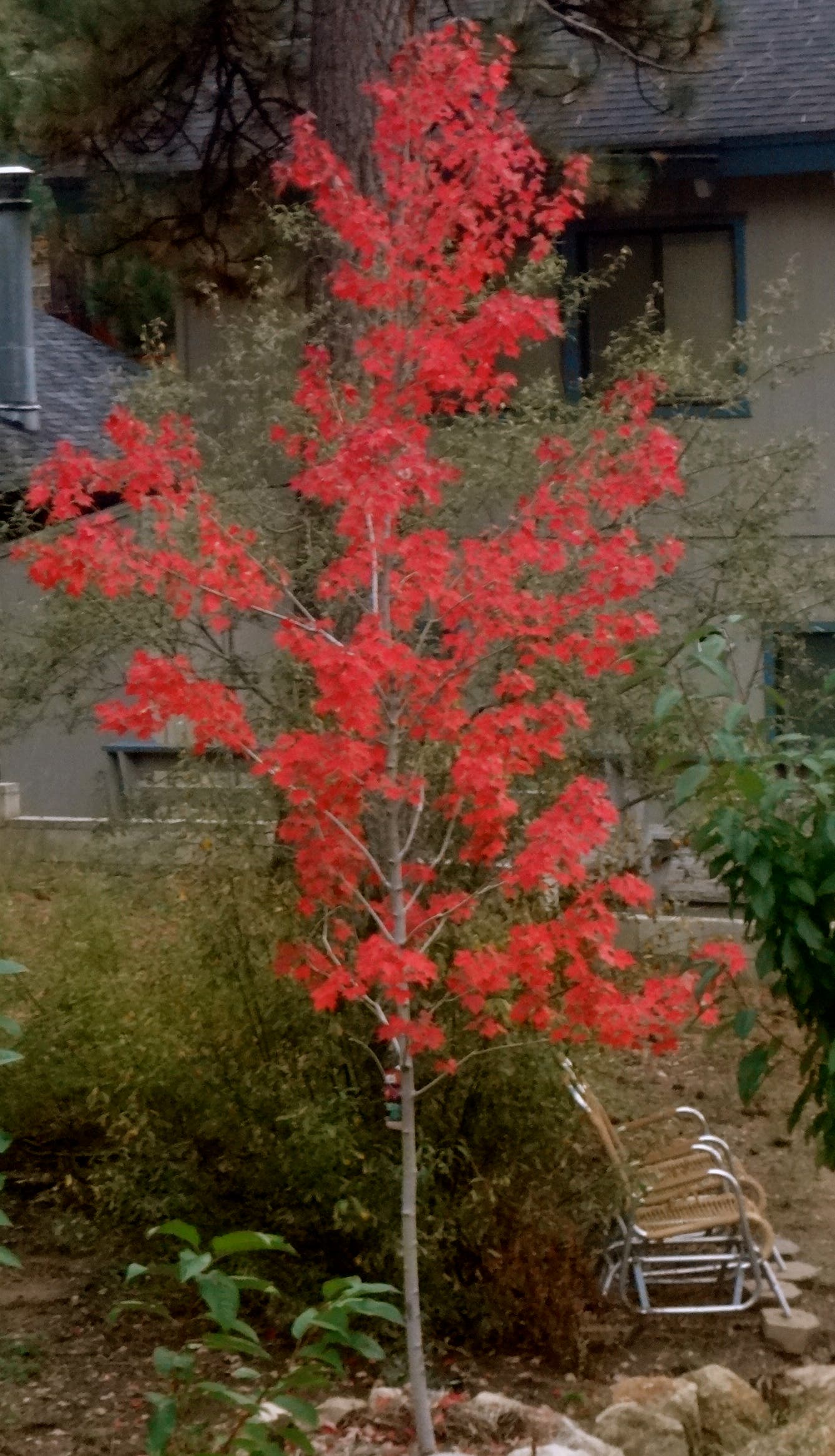 Fall in the mountains means warm days and cool nights | Redlands, CA Patch