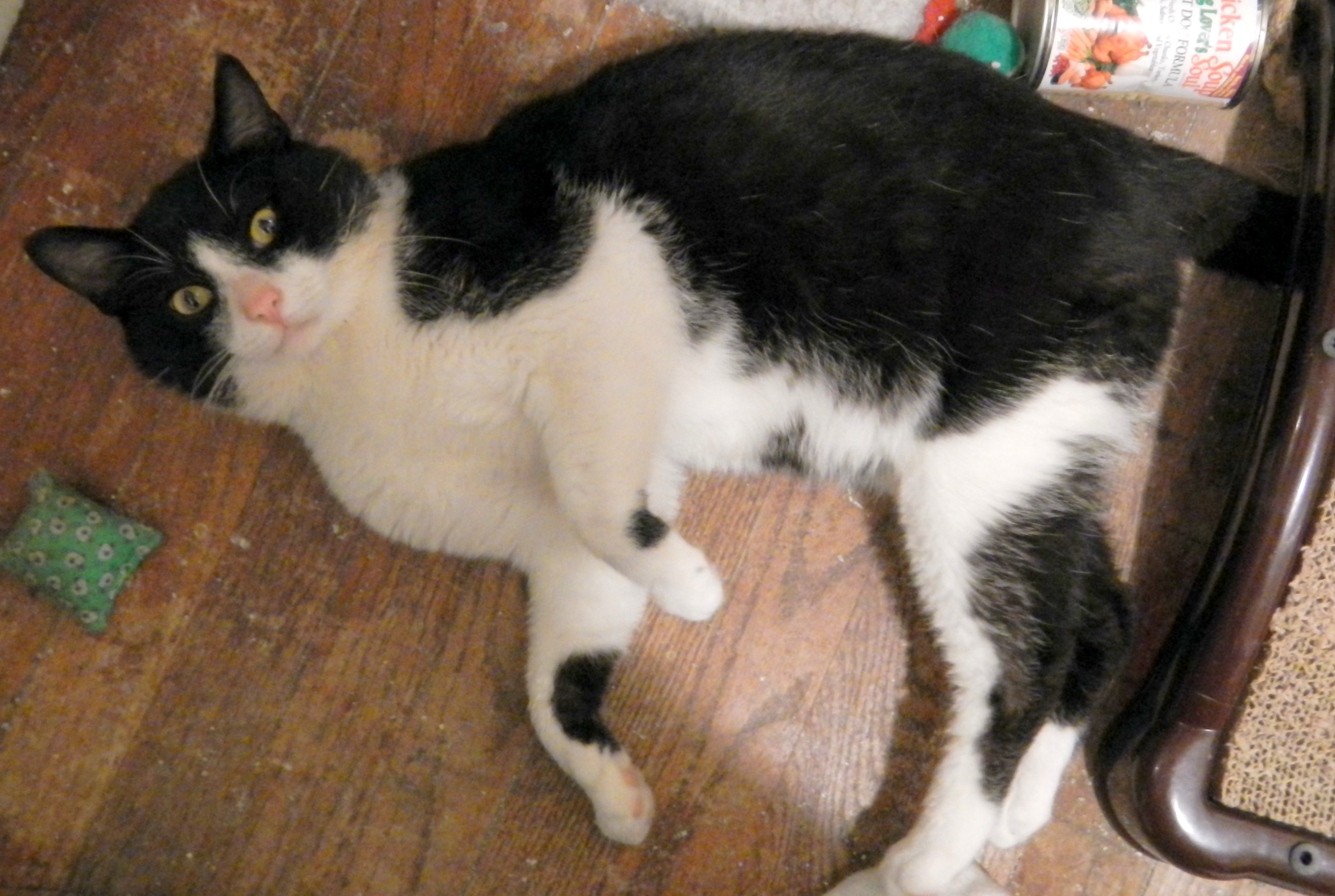 News small post card thumbnail