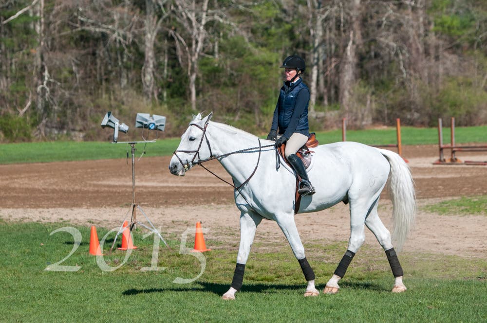 Local Horse Show Photos Attleboro, MA Patch