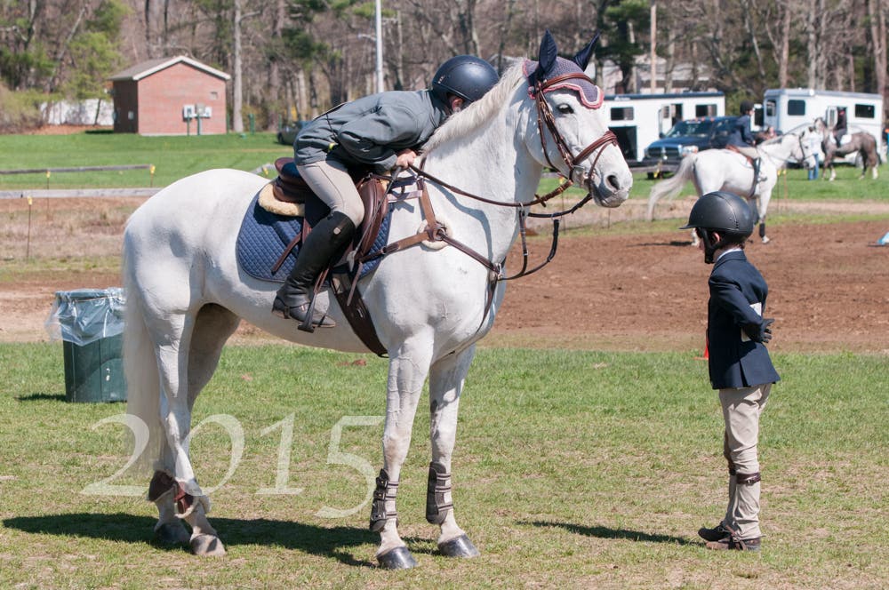Local Horse Show Photos Attleboro, MA Patch