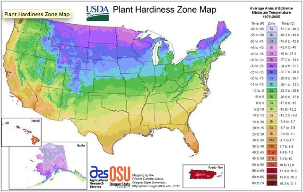USDA Plant Hardiness Zone Map Collingswood NJ Patch