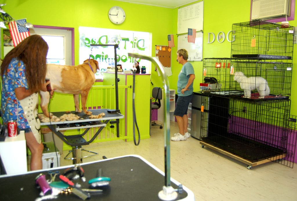 Tails are Wagging at Dirty Dog Grooming Bradenton, FL Patch