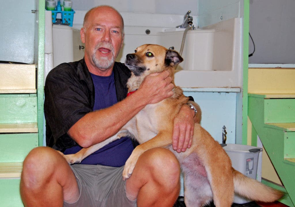 Sandy Paws Self Service Dog Wash Provides "Everything but