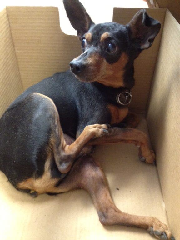 News small post card thumbnail