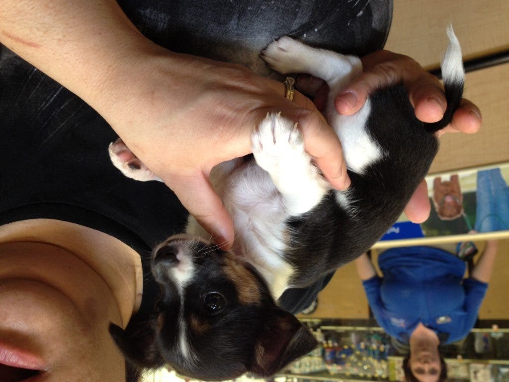 News small post card thumbnail