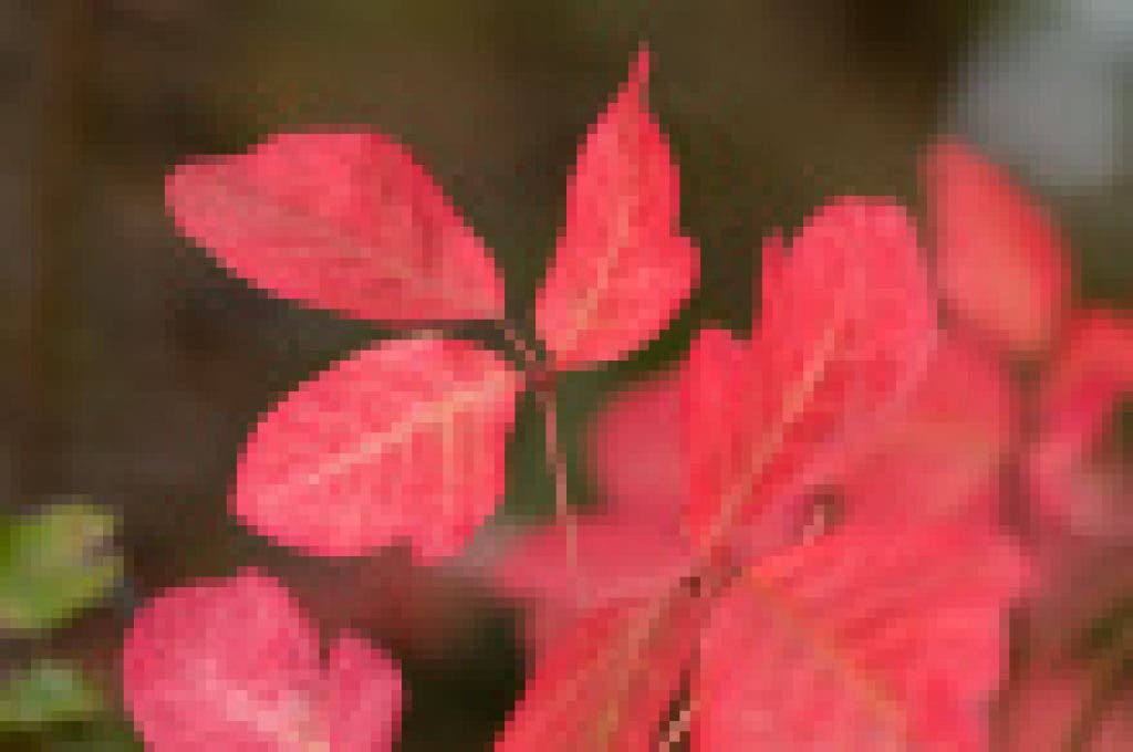 https://patch.com/img/cdn/users/109891/2011/04/raw/f7f83f4f77b11caddf5da2043b85da54.jpg