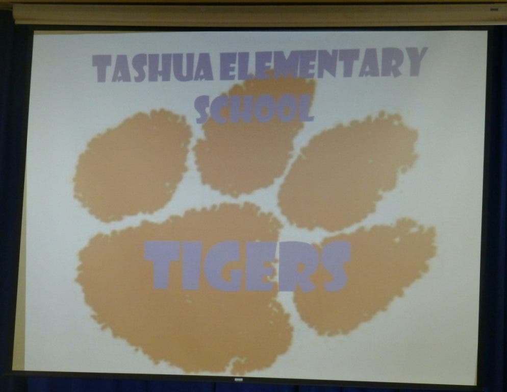The TIGERS Rise Trumbull, CT Patch
